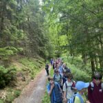 Wanderung durch einen Wald