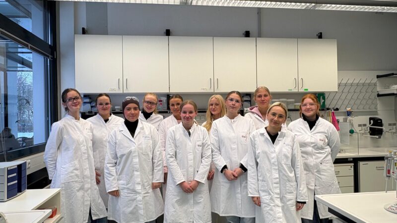 DNA unter der Lupe – Biologiekurse zu Gast im Schülerlabor BioS