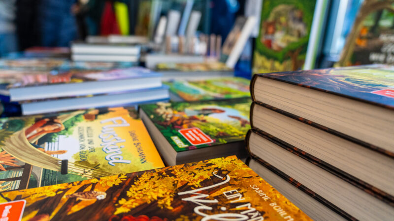 Lesereise durch Wald und Ozean: Lesenachmittag am GaBö begeistert Jung und Alt