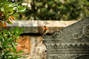 Mehr über den Artikel erfahren Religionsunterricht im Dialog mit dem Leben – Friedhofsführungen auf dem St. Stephani-Friedhof Helmstedt